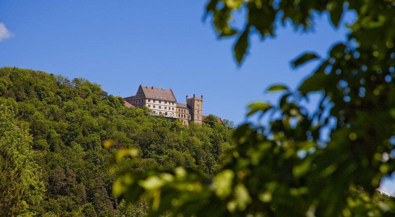 Schloss Weitenburg Starzach Extérieur photo